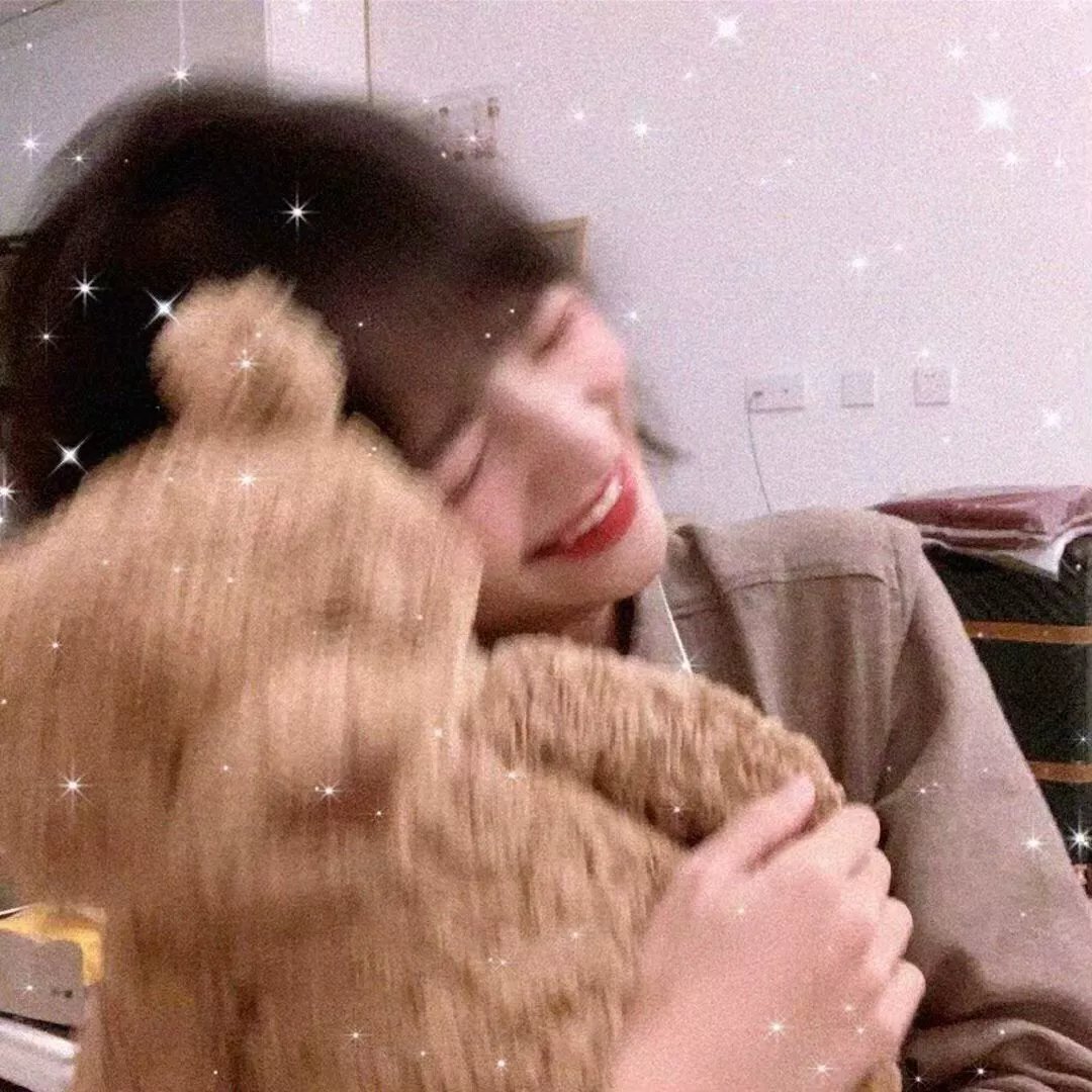 被炉、蜜桔和小猫